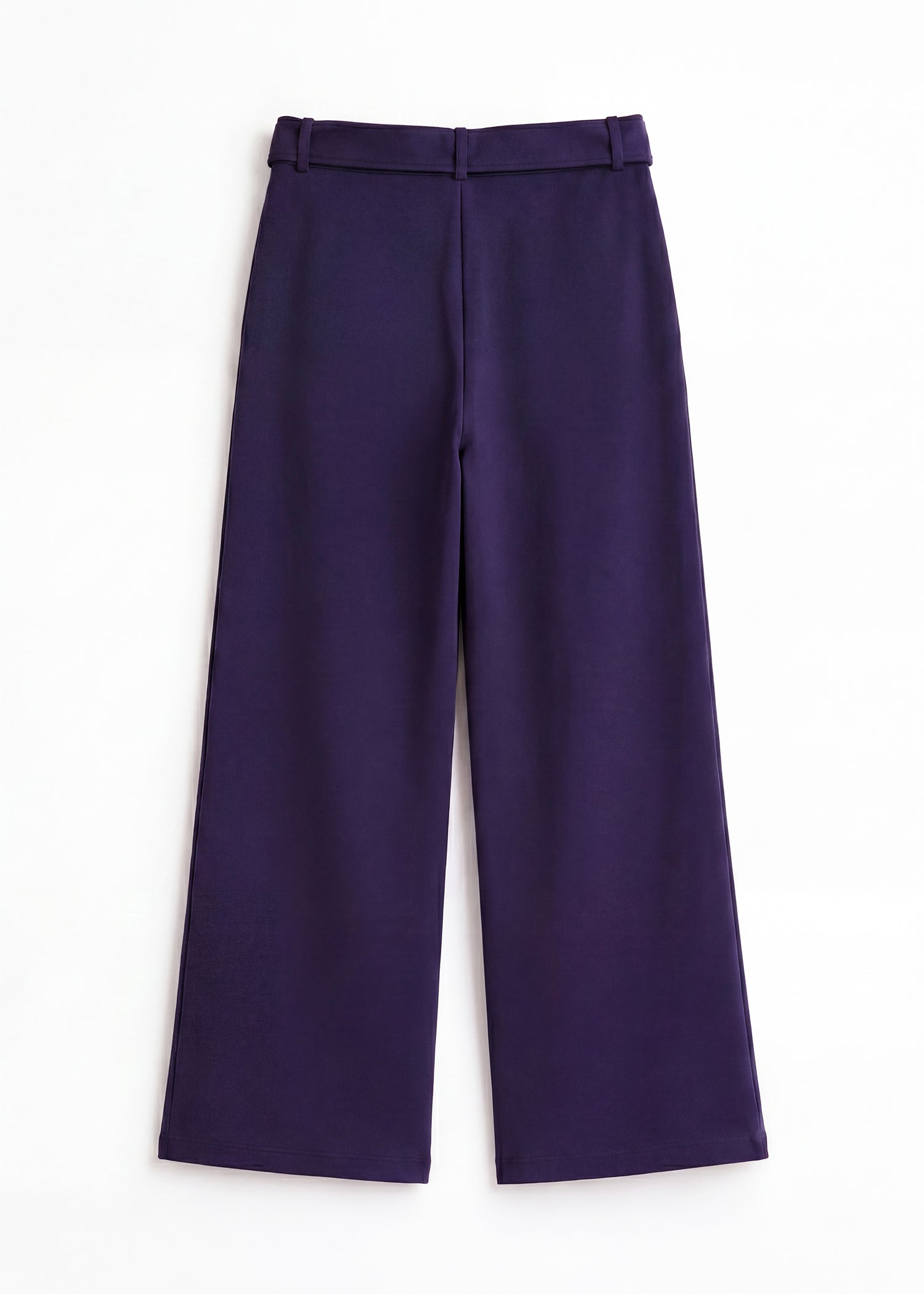 Belted Wide Leg Pants