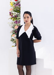 Easy Go Collar Dress